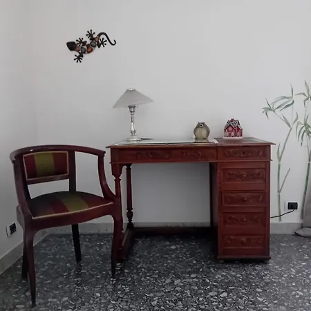 AppioLatino Il Geco-3